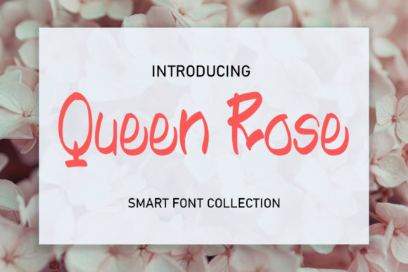 Queen Rose: A Chic Script Font for Digital Branding